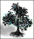 schwarzbaum3