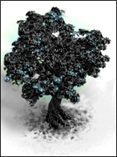 schwarzbaum5
