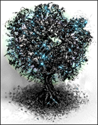schwarzbaum5