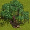 Riesiger Baum der Hoffnung