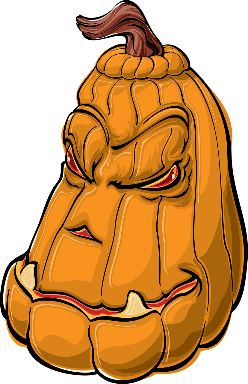 Kurbislang1